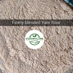 photocollagemaker 20230810 141726480