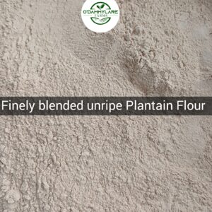 photocollagemaker 20230819 053419207