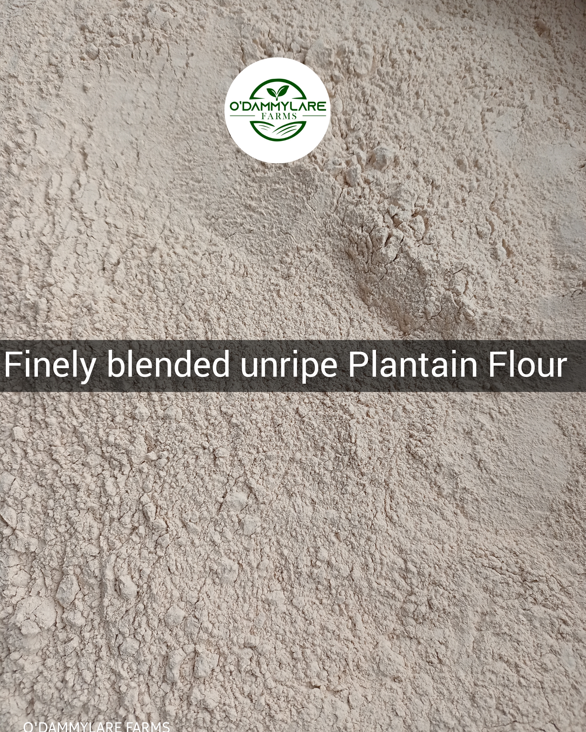 photocollagemaker 20230819 053419207 photocollagemaker 20230819 053419207