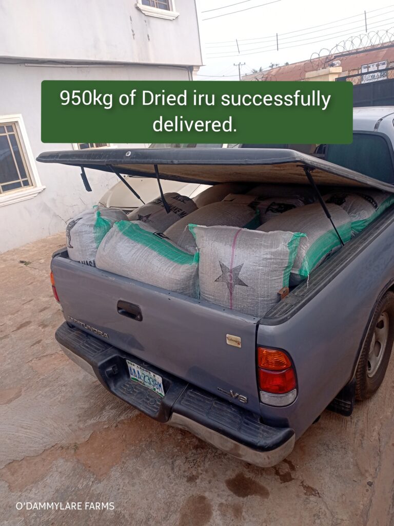 photocollagemaker 20240822 171808592