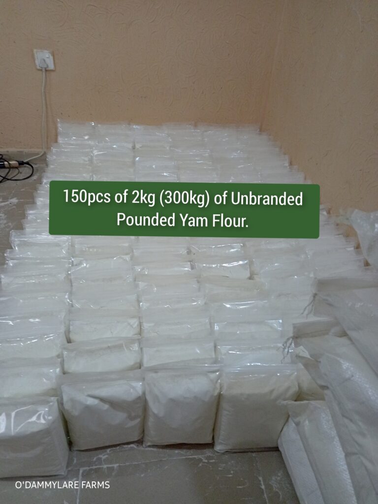 photocollagemaker 20250313 174236785