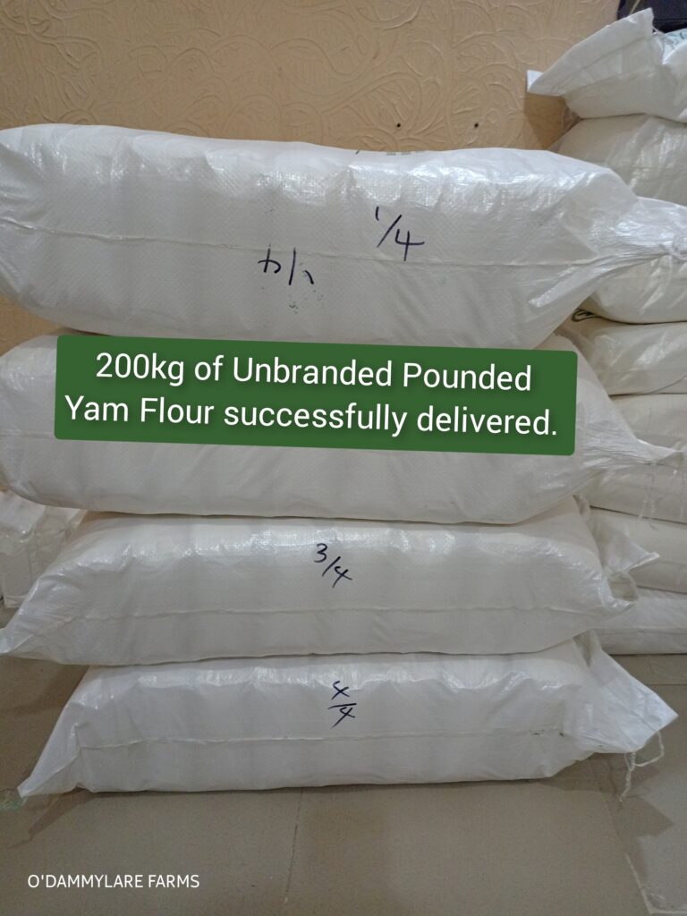 photocollagemaker 20250320 134724839