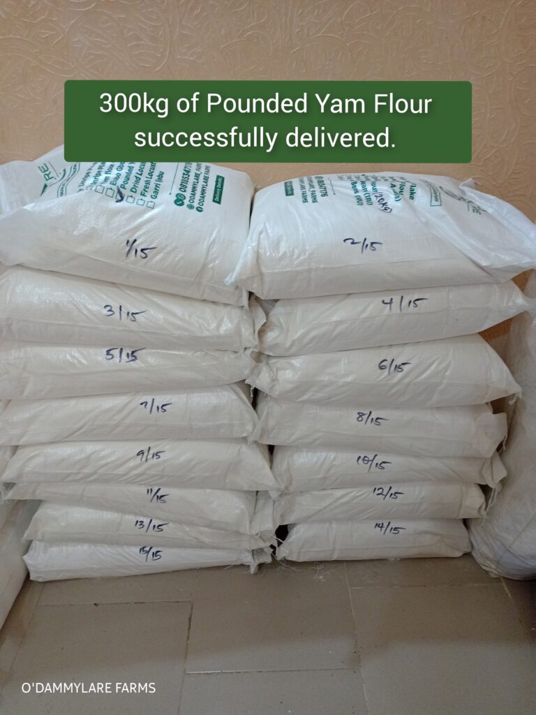 photocollagemaker 20250329 120538598