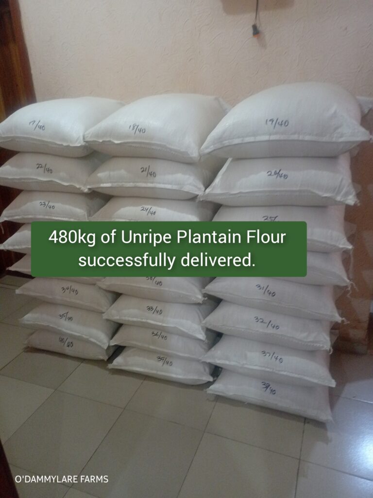 photocollagemaker 20250529 152244142