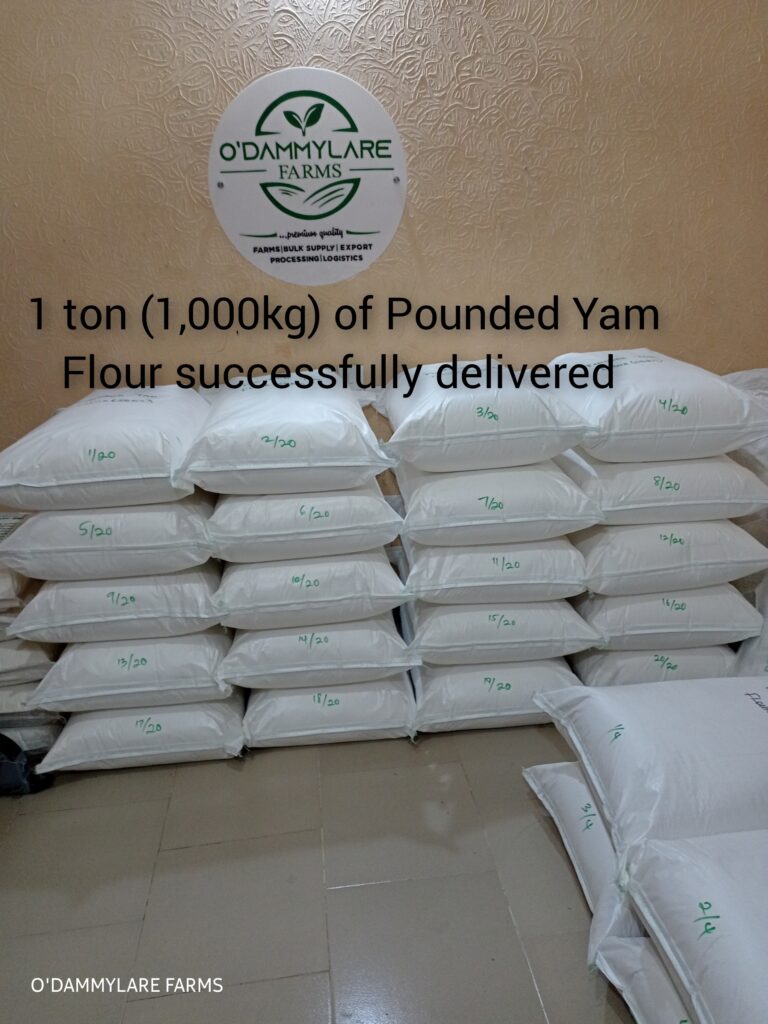 photocollagemaker 20250627 073717966