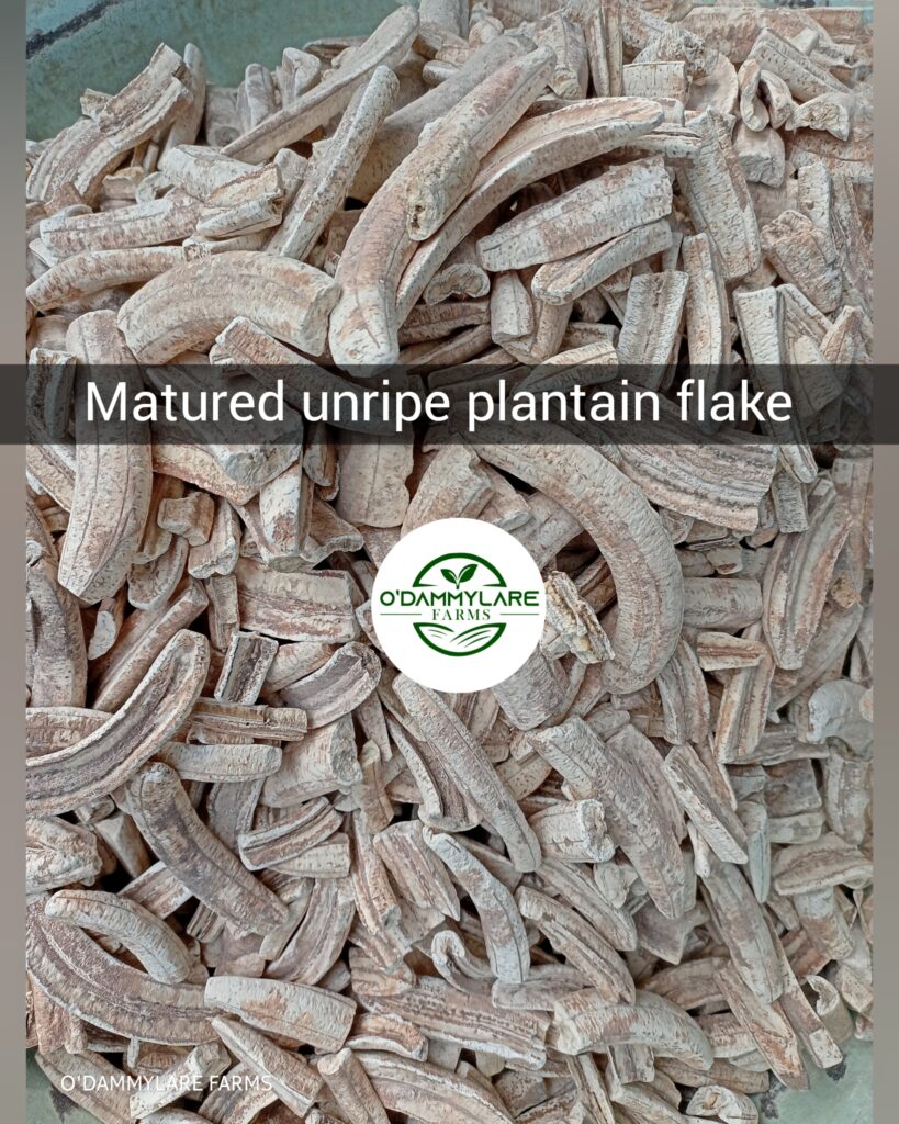 photocollagemaker 20250718 083917698