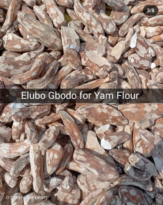 photocollagemaker 20250718 084040691.png