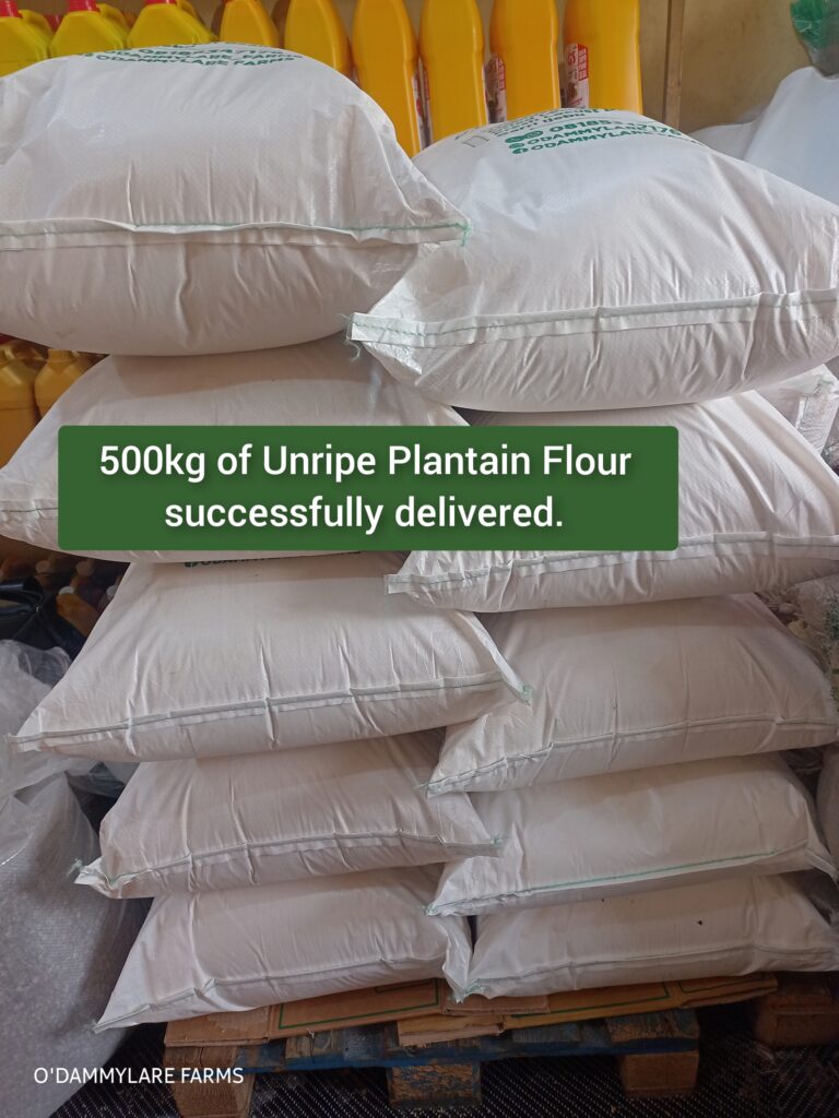 photocollagemaker 20251009 080817616[1]