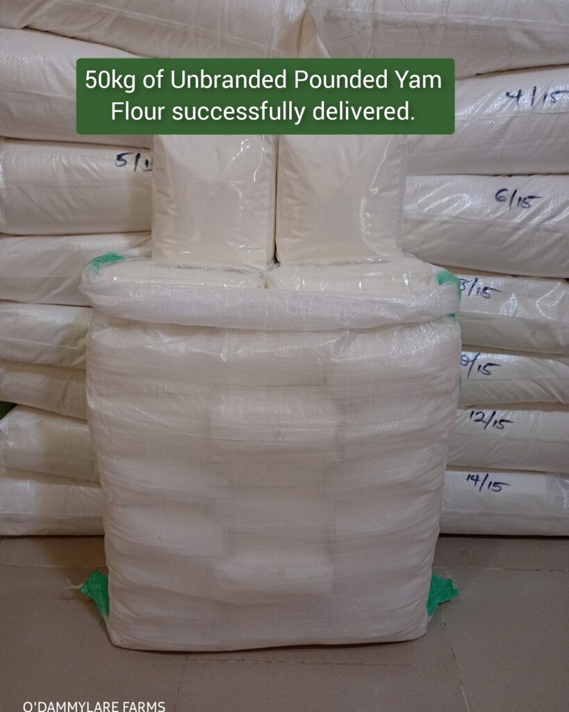 photocollagemaker 20250312 172113063