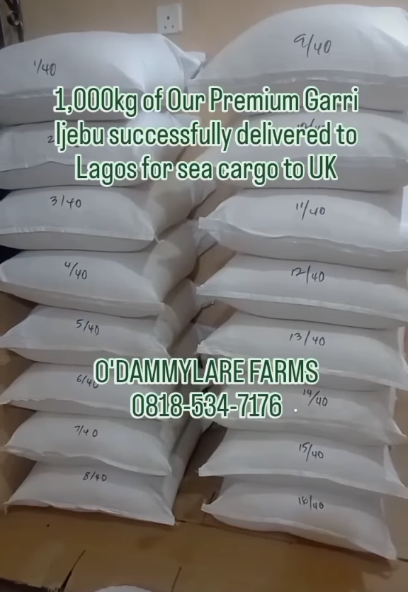 screenshot 20251101 164138 1[1]