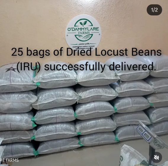 screenshot 20251102 131557 1[1]